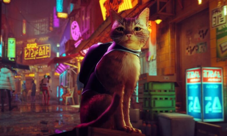 Celebrity Accord Bring Recenzie: Stray - O aventură cu pisici într-un univers cyberpunk - Video  Gamer